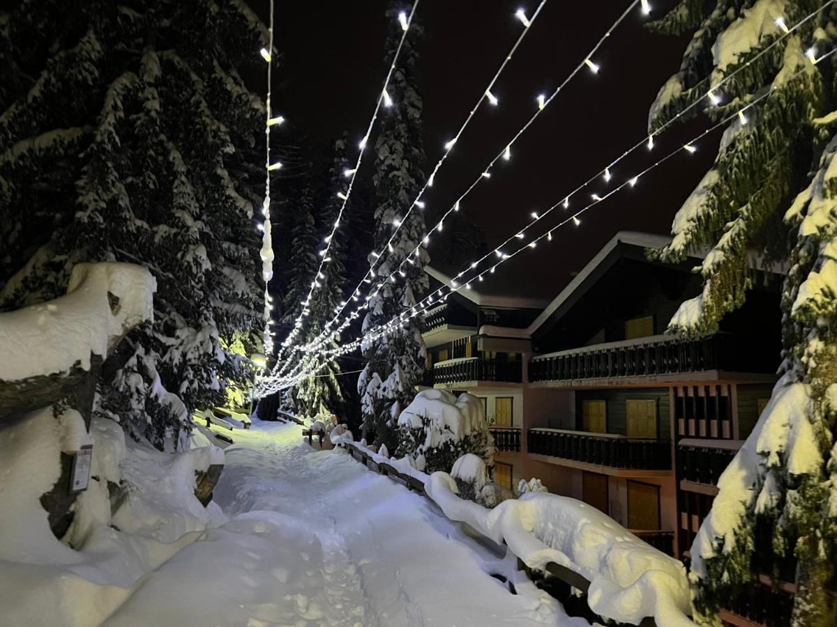 Cosy Studio For 4 Near Ski Lift, Melezes K22 Veysonnaz Dış mekan fotoğraf